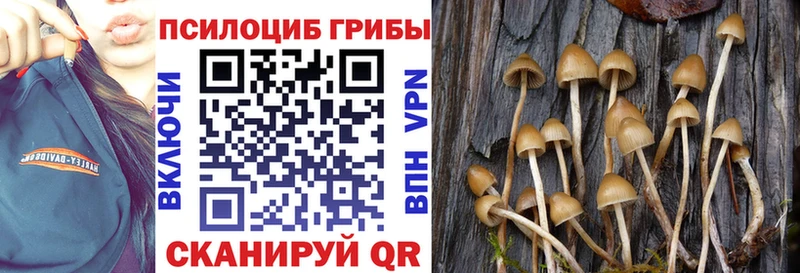 blacksprut как войти  хочу   Грайворон  Псилоцибиновые грибы ЛСД 